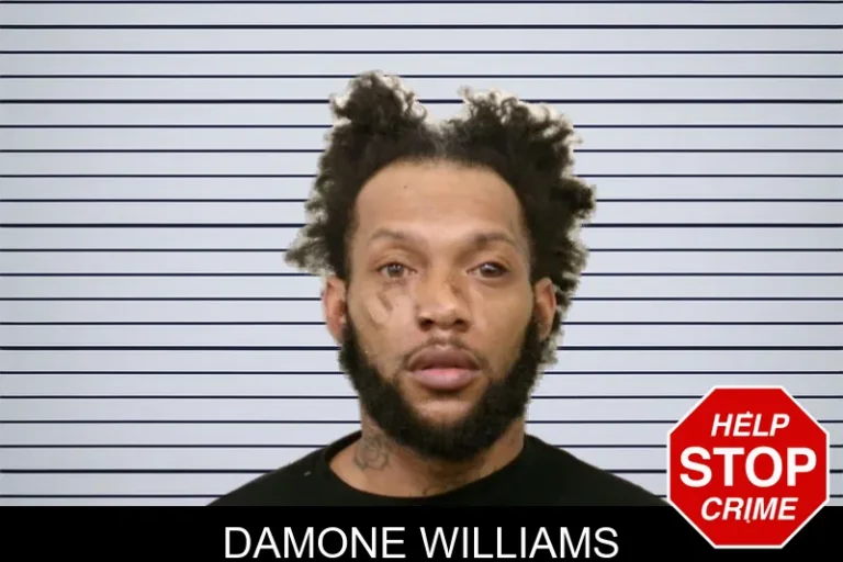 Damone Williams mugshot – Bulloch County , Georgia Damone Williams