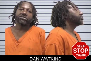 Dan Watkins mugshot