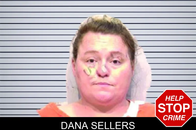 Dana Sellers mugshot – Bartow County , Georgia Dana Sellers mugshot