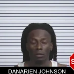 Danarien Johnson mugshot