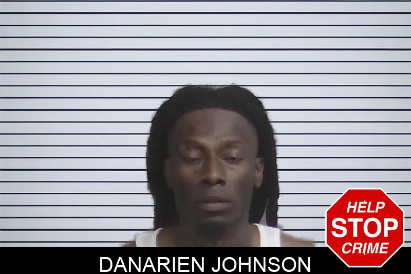 Danarien Johnson mugshot