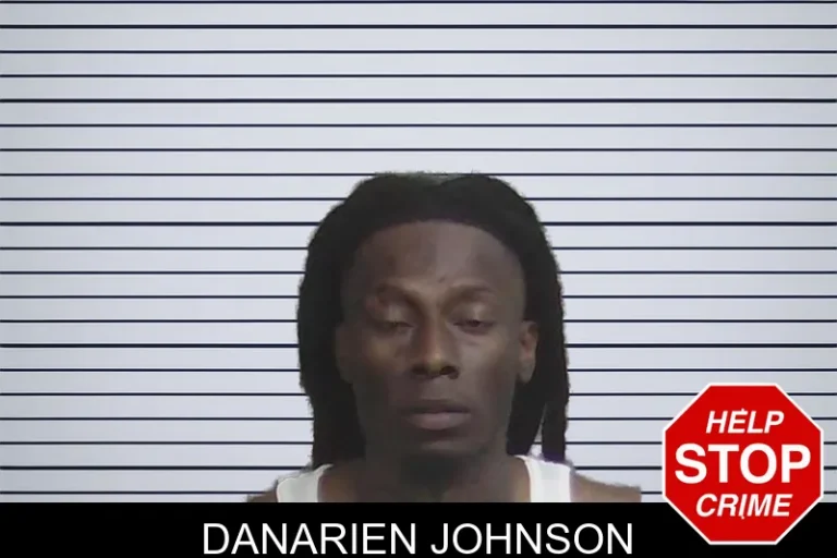 Danarien Johnson mugshot – Wayne County , Georgia Danarien Johnson