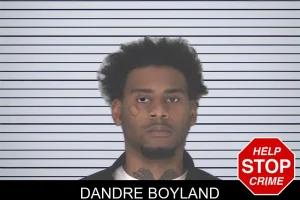 Dandre Boyland mugshot