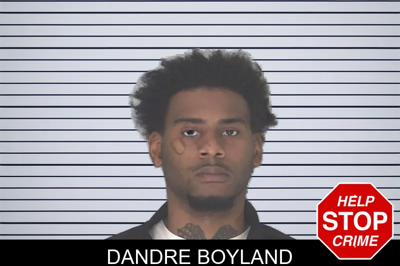 Dandre Boyland mugshot