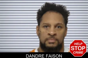 Dandre Faison mugshot
