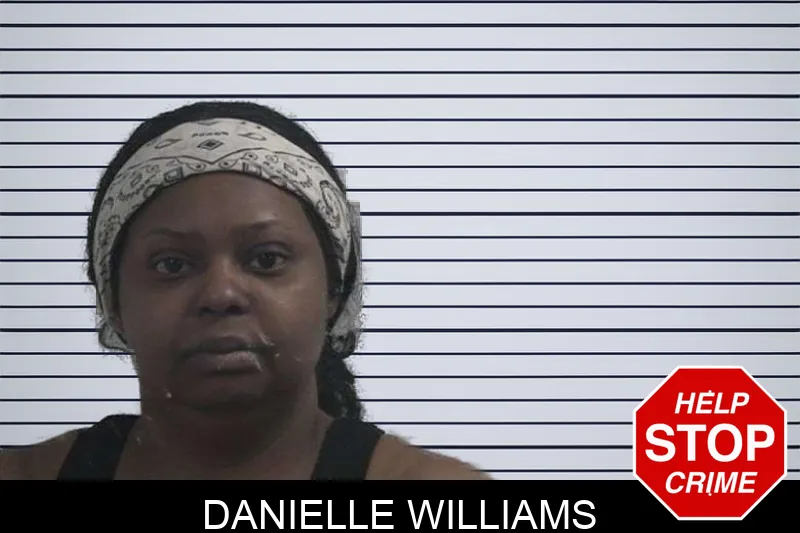 Danielle Williams mugshot