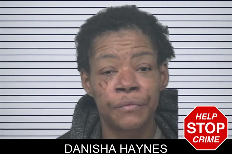 Danisha Haynes mugshot