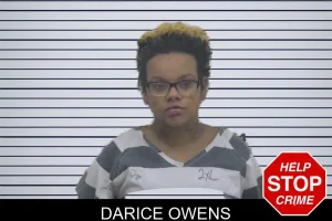 Darice Owens mugshot