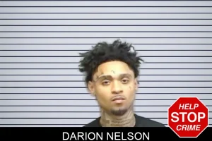 Darion Nelson mugshot