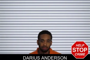 Darius Anderson mugshot