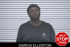 Darius Ellerton mugshot