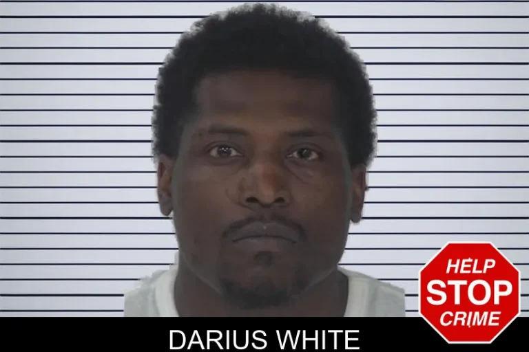 Darius White mugshot – Fayette County , Georgia Darius White