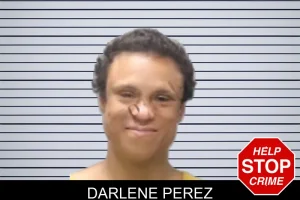 Darlene Perez mugshot