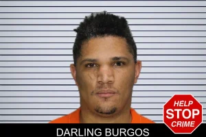 Darling Burgos mugshot