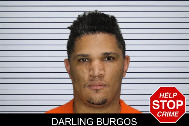 Darling Burgos mugshot – Cobb County , Georgia Darling Burgos