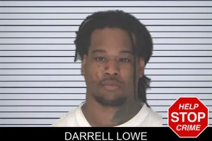 Darrell Lowe mugshot