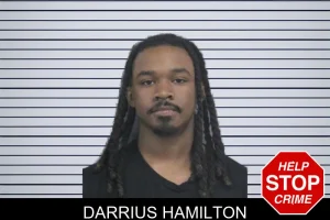 Darrius Hamilton mugshot