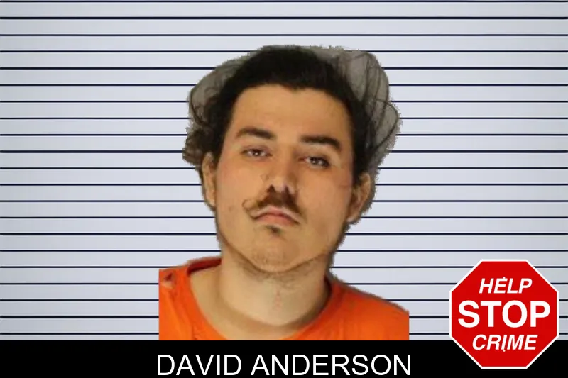 David Anderson mugshot