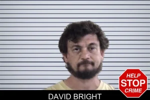 David Bright mugshot