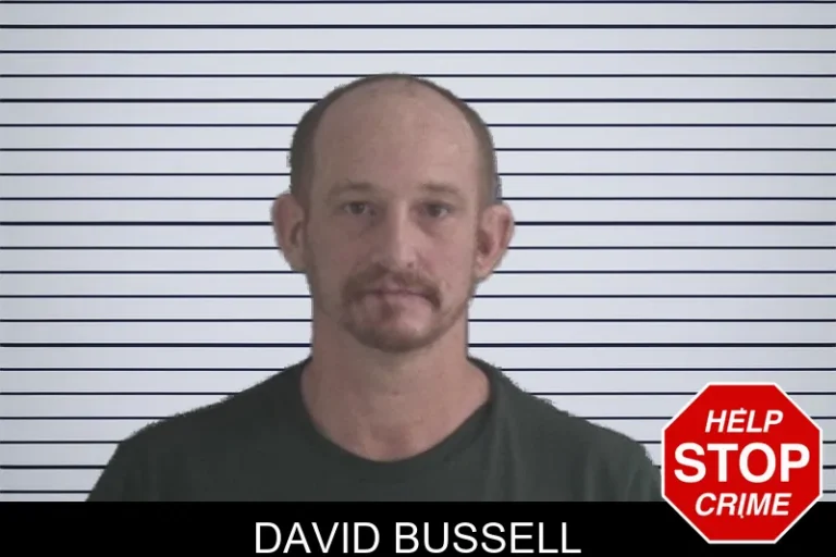 David Bussell