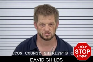 David Childs mugshot