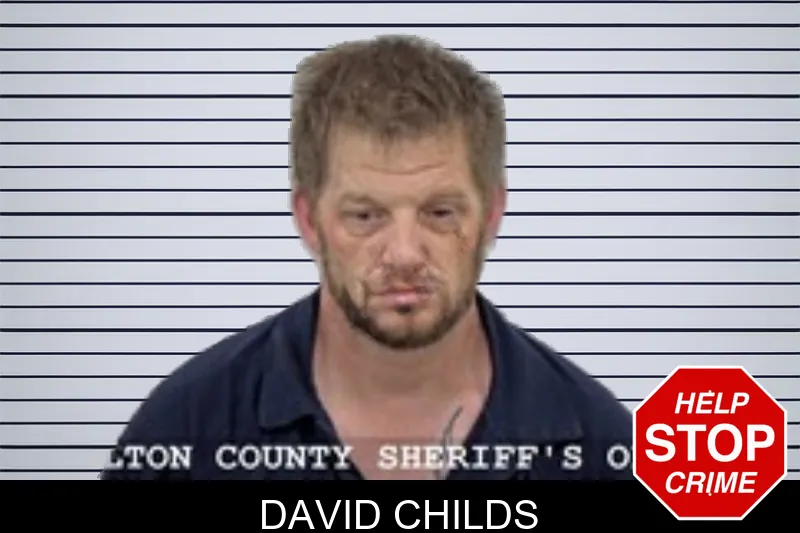 David Childs mugshot