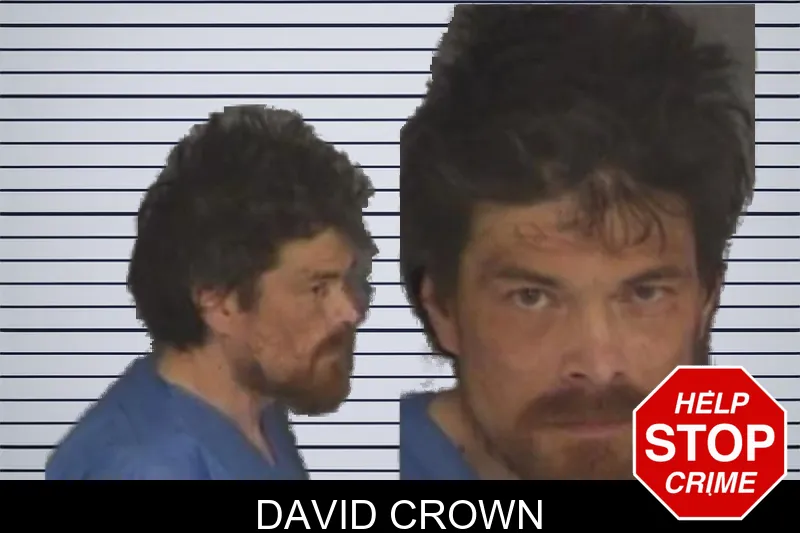 David Crown mugshot
