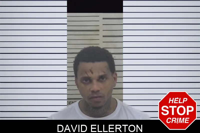 David Ellerton mugshot