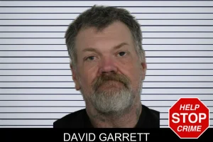 David Garrett mugshot