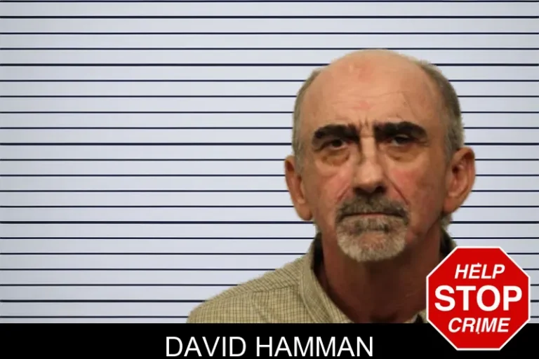 David Hamman