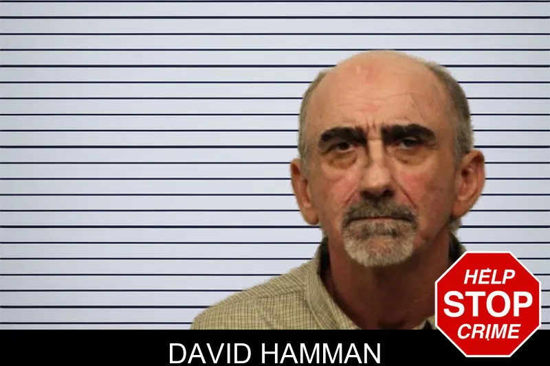 David Hamman mugshot