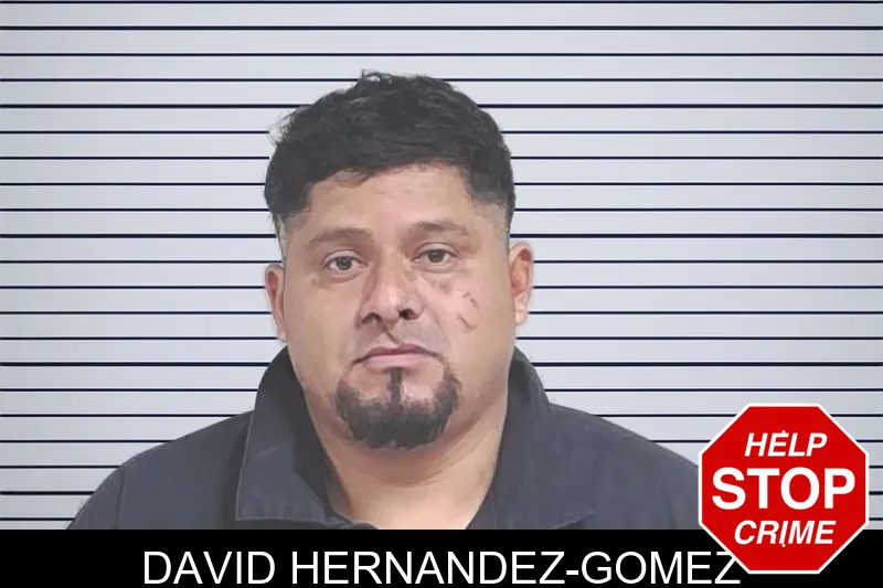 David Hernandez-Gomez mugshot