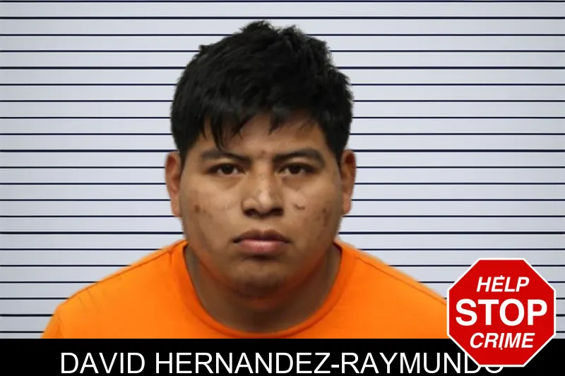 David Hernandez-Raymundo mugshot – Chatham County , Georgia David Hernandez-Raymundo mugshot