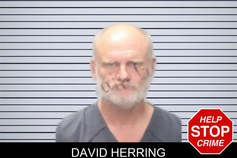 David Herring