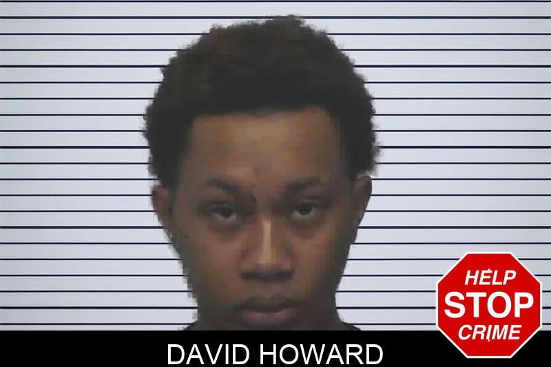David Howard mugshot – Lanier County , Georgia David Howard mugshot