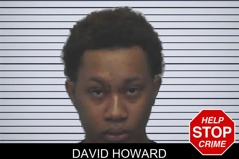 David Howard mugshot – Lanier County , Georgia David Howard mugshot