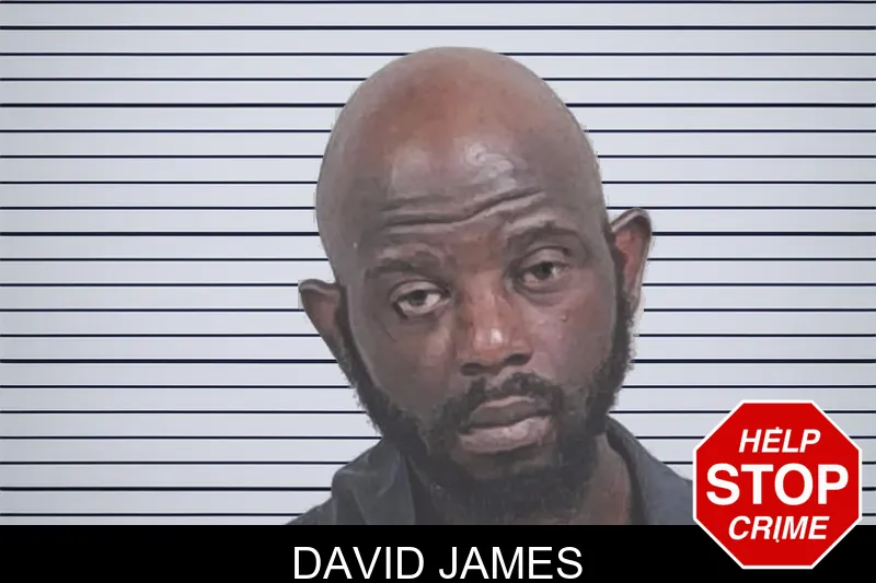 David James mugshot – Lowndes County , Georgia David James mugshot
