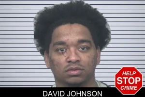David Johnson mugshot