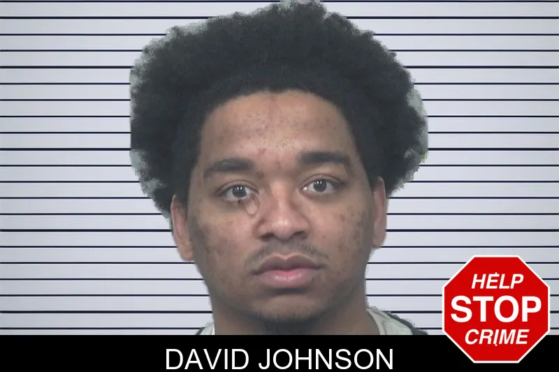 David Johnson mugshot