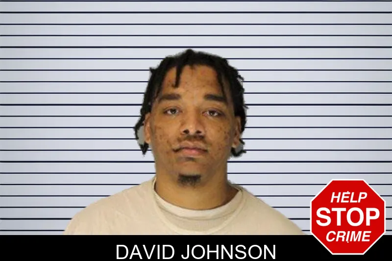 David Johnson mugshot