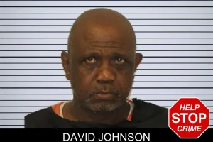 David Johnson mugshot