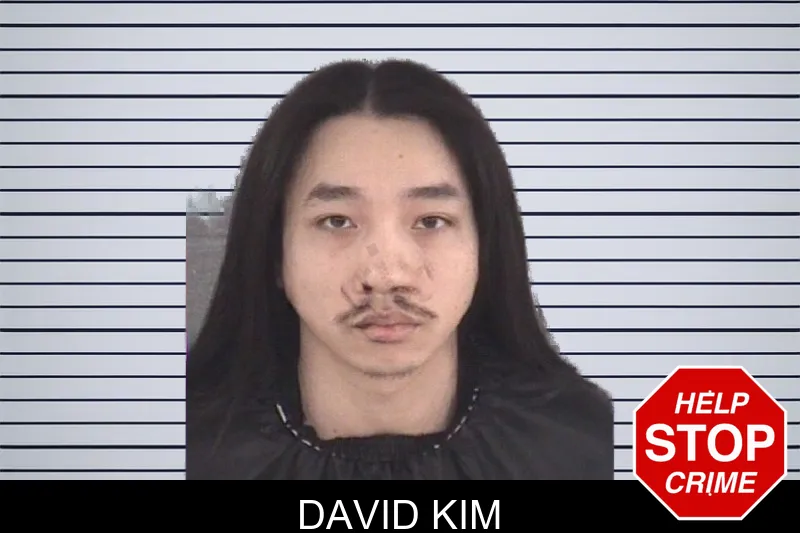David Kim mugshot