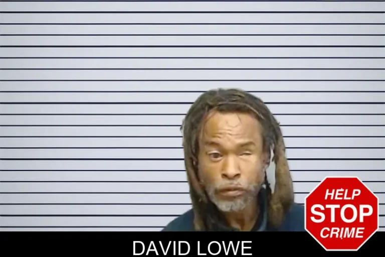 David Lowe