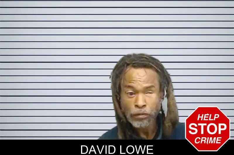 David Lowe mugshot