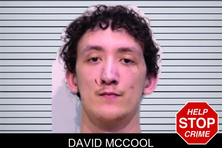 David McCool