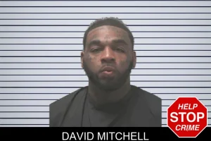 David Mitchell mugshot
