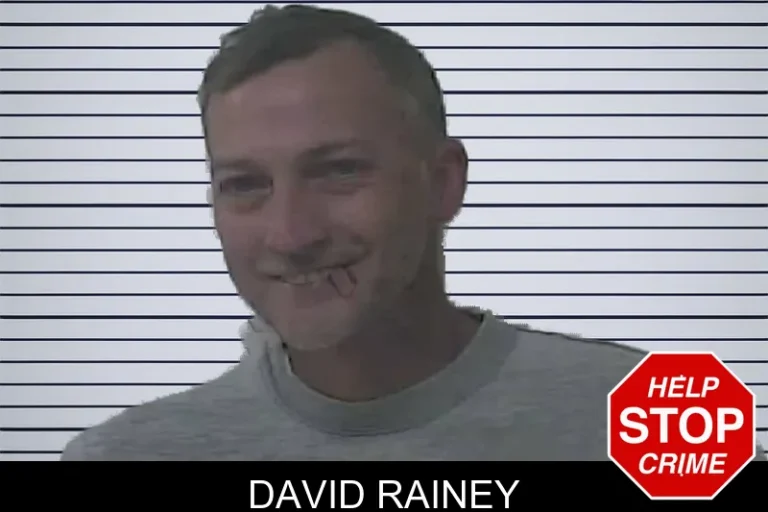 David Rainey