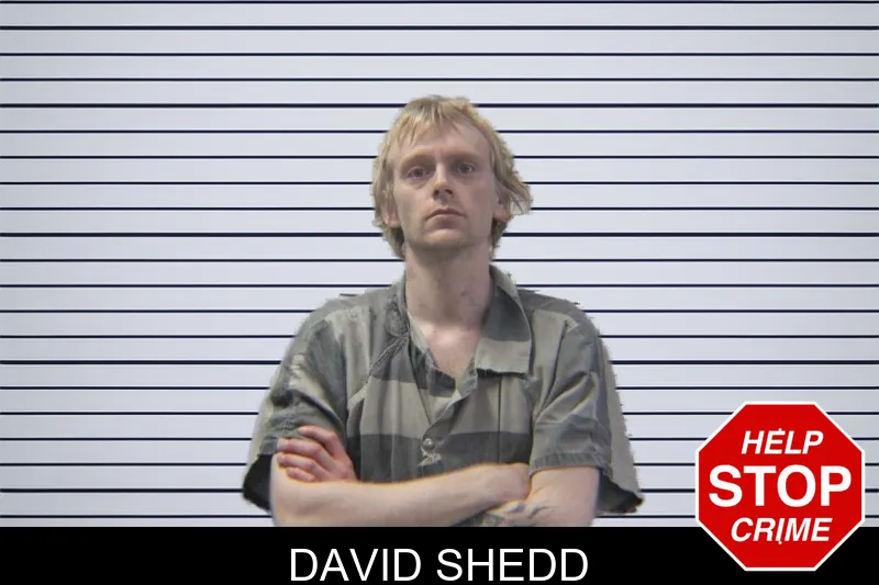 David Shedd mugshot