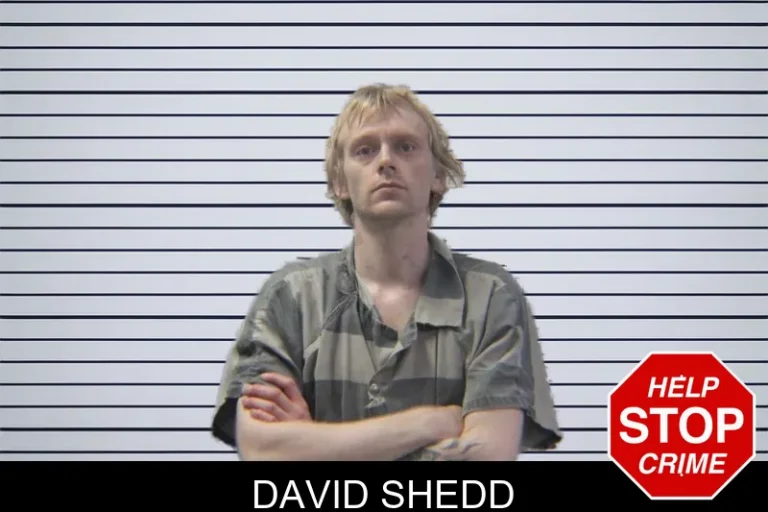 David Shedd mugshot – Stephens County , Georgia David Shedd