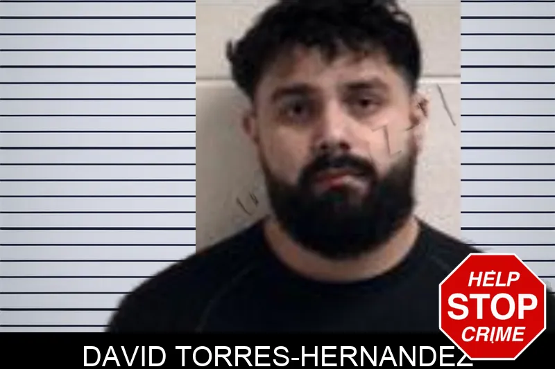 David Torres-Hernandez mugshot – Henry County , Georgia David Torres-Hernandez mugshot
